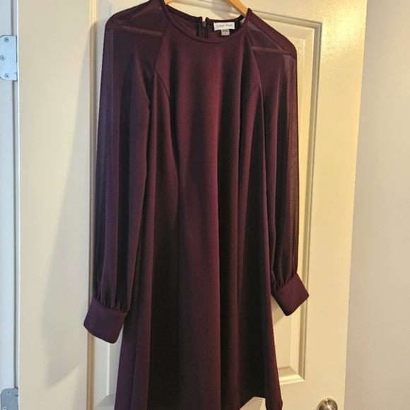 Calvin Klein Sheer Sleeve Shift Dress - Picture 1 of 6